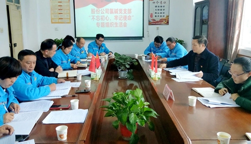 向宇飛列席指導(dǎo)股份公司氯堿黨支部“不忘初心、牢記使命”專題組織生活會(huì)(圖1)
