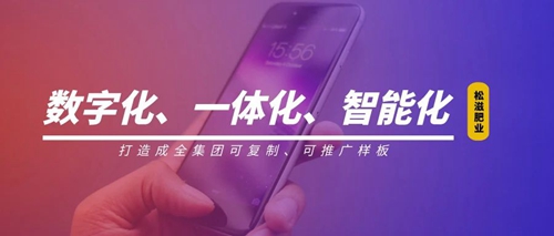 線上辦公零接觸！松滋肥業(yè)信息化在戰(zhàn)“疫”之中顯身手(圖1)