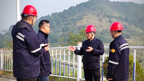 王大真到松滋肥業(yè)、楚星公司、新材料公司和股份公司現(xiàn)場(chǎng)調(diào)研(圖1)