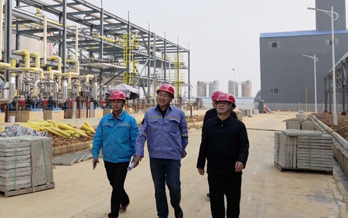 王大真到松滋肥業(yè)、楚星公司、新材料公司和股份公司現(xiàn)場(chǎng)調(diào)研(圖3)