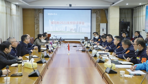 王大真到新材料公司、TPO項(xiàng)目現(xiàn)場和股份公司檢查工作(圖3)