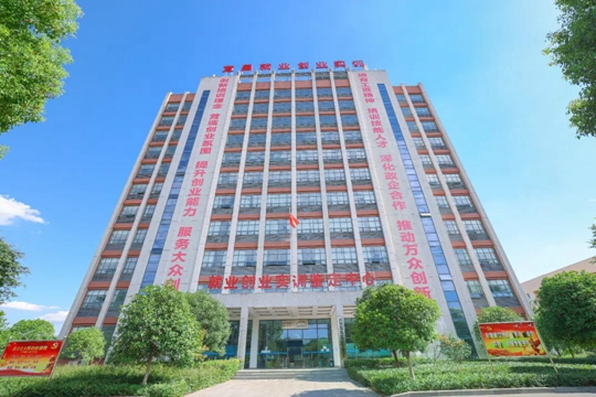 湖北省第一批“荊楚工匠學(xué)院”！宜化職業(yè)培訓(xùn)中心獲授牌(圖2)
