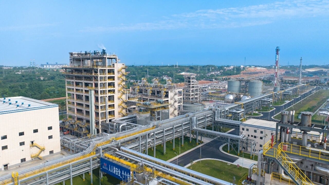 集團兩家單位入選2024年度石化行業(yè)重點產品能效“領跑者”名單(圖1)