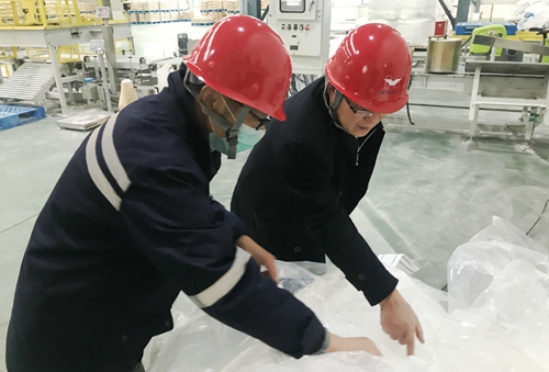 王大真到新材料公司、TPO項(xiàng)目現(xiàn)場和股份公司檢查工作