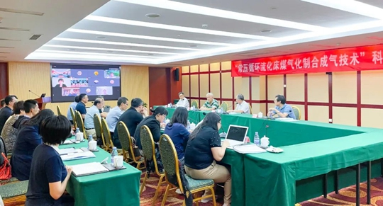 通過鑒定！新疆宜化一項技術(shù)達(dá)國際領(lǐng)先水平！